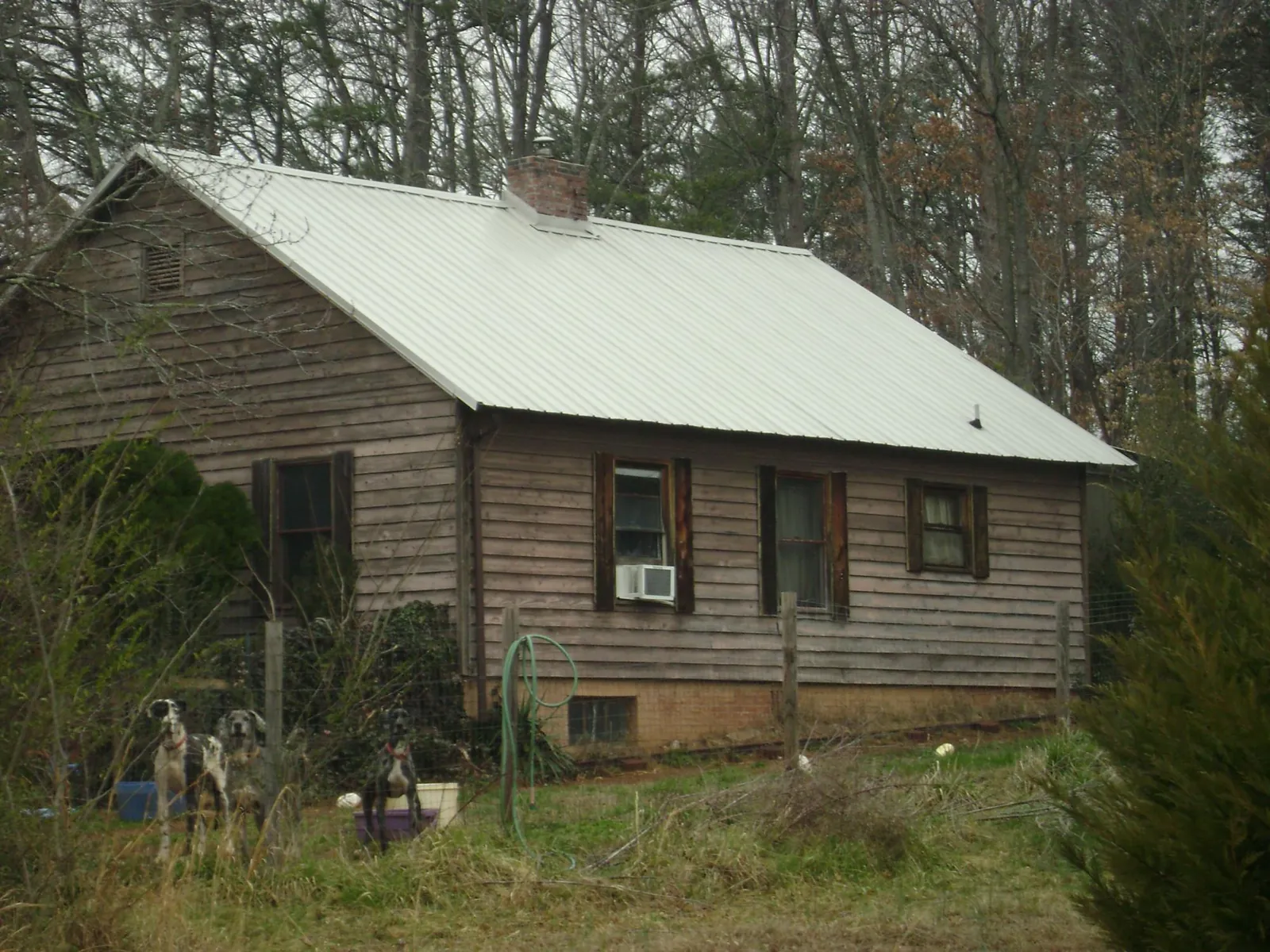 White metal roof on an old wood sided farmhouse, from a Asphalt Shingle Roof Repair job in Whitten